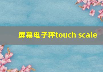 屏幕电子秤touch scale